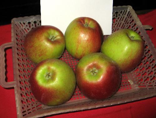 Pommes Fuji rouges - Origine FRANCE (82)