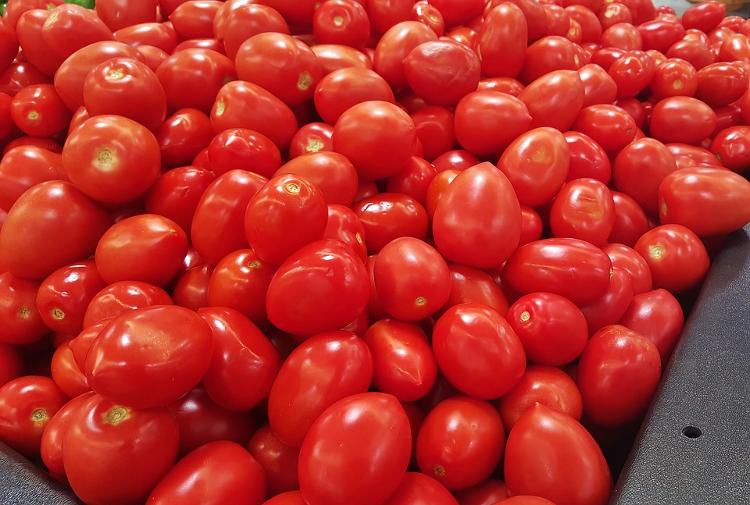 Tomates roma 500g - Origine FRANCE (31)
