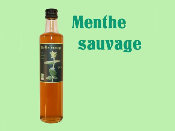 Sirop de Menthe Sauvage - 50 cl