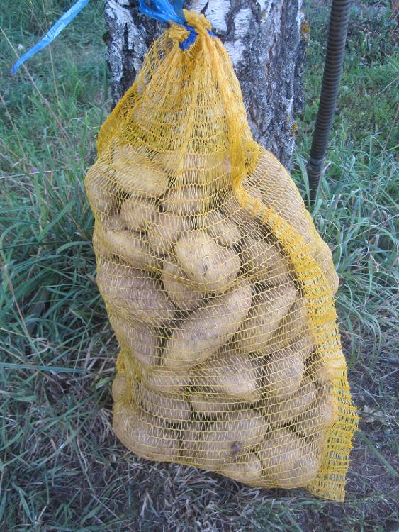 Pomme de terre (5kg ) Amandine des Jardins de Jurlhes