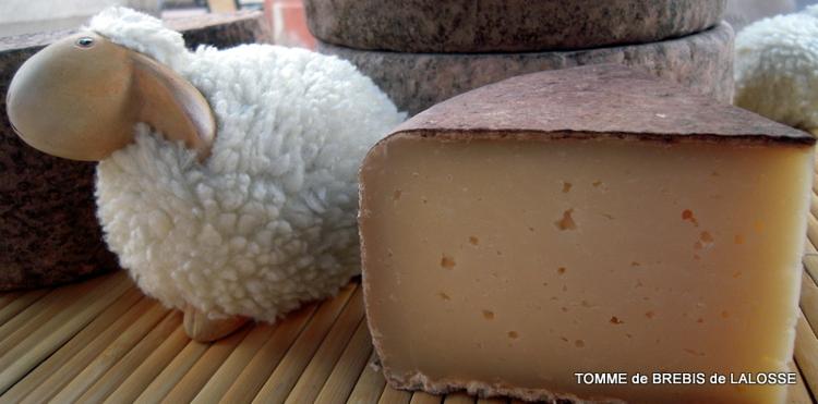 Tomme LALOSSE  fromage brebis