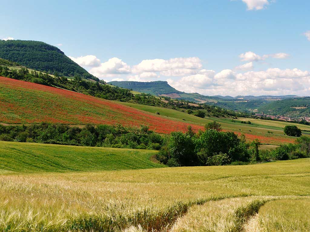 Aveyron Environnement