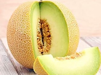Plant Melon brodé Arava
