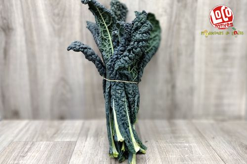 choux kale  noir de toscane