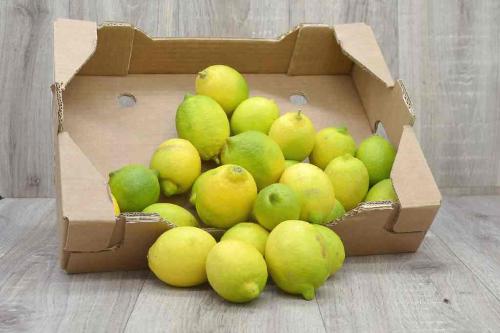 Citrons 3kg - livraison mercredi 29 mars