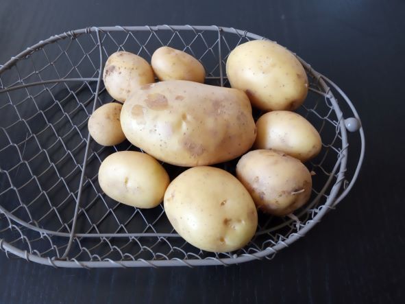 Pommes de terre mona lisa