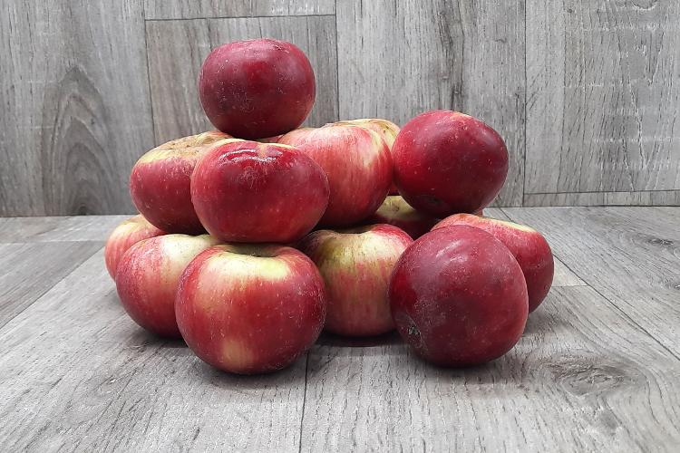 Pommes 'Akane' - 5kg