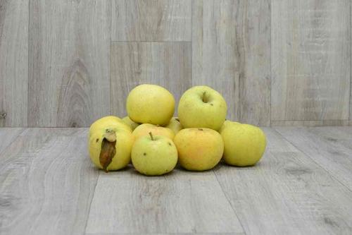 Pommes 'Chantecler' - 5kg