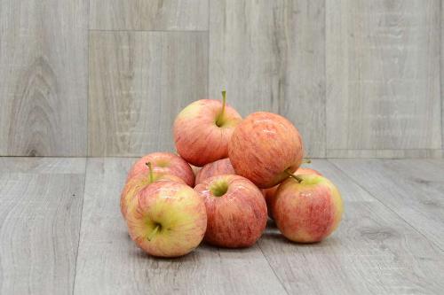 Pommes 'Gala' - 5kg
