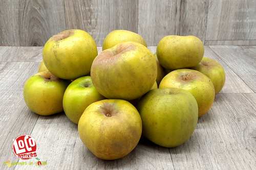 Pommes 'Reinette clochard' - 5kg