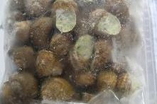 Sachet d'escargots en coquilles à la Bourguignonne (5dz)