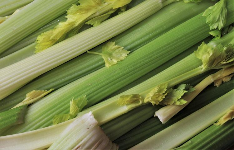 Celeri branche bio