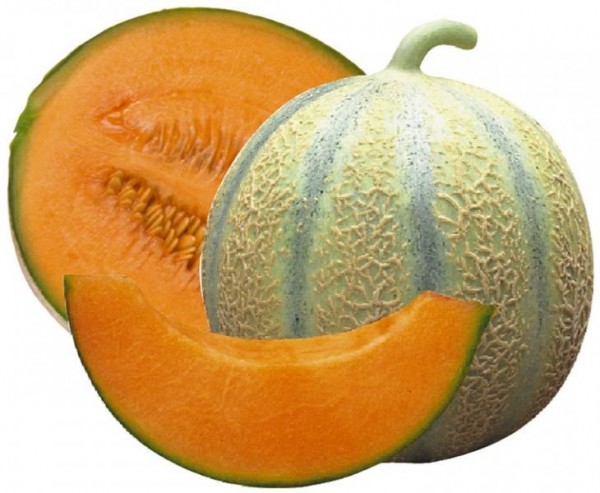 Melon charentais - france -