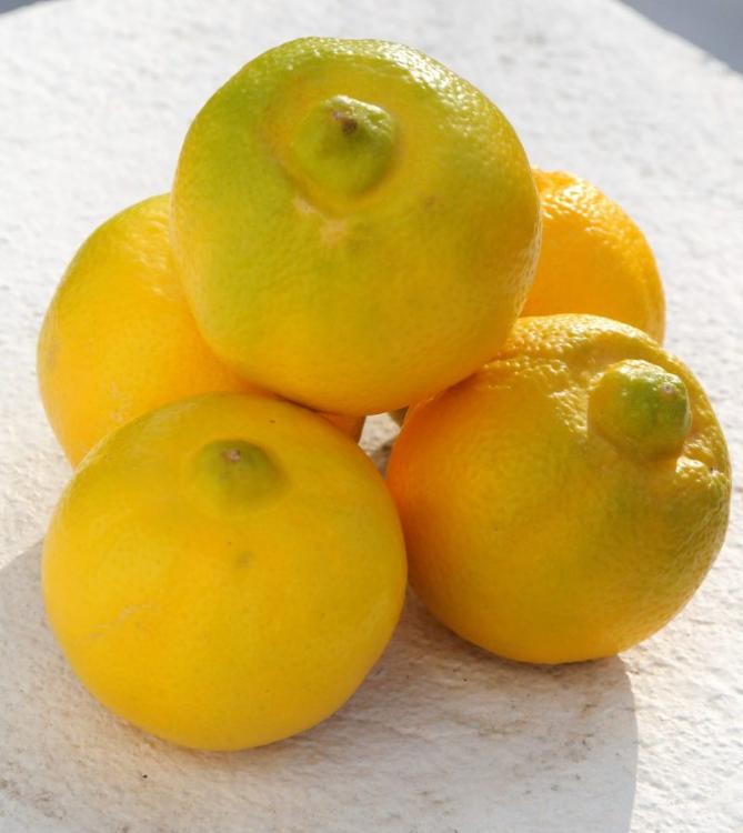 Citron BERGAMOTE