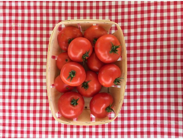 Tomates rondes (le kg)