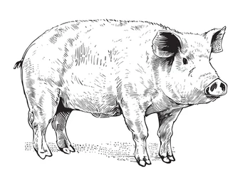 Colis porc fermier