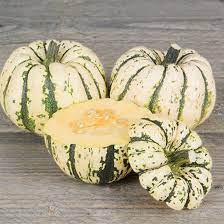 Courge Sweet Dumping