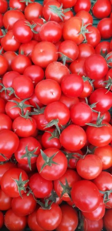 Tomate ronde rouge 500g