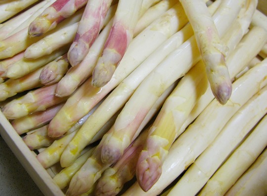 Asperges blanches (148)