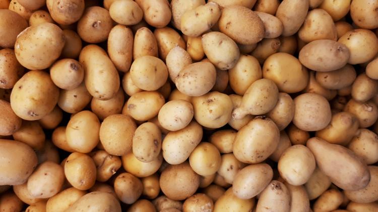 Pommes de terre grenaille (263)