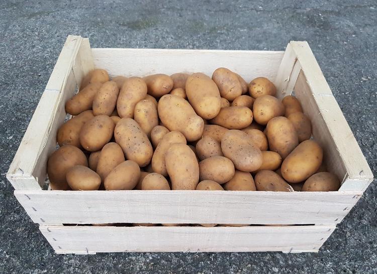 Colis de pomme de terre 10 kg chair ferme