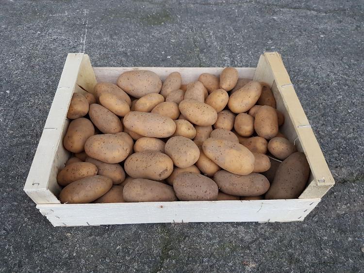 Colis de pomme de terre 5 kg chair ferme