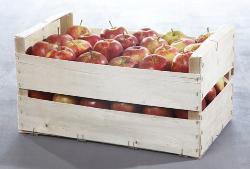 Colis de pomme 10 kg