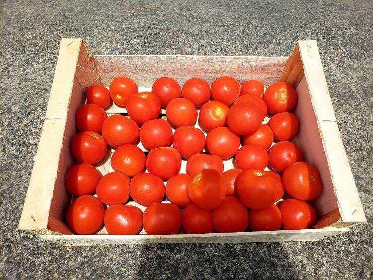 Colis de Tomate ronde 3 kg