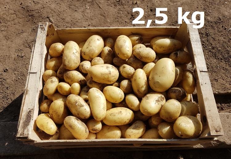 Colis de pomme de terre Primeur 2,5 kg