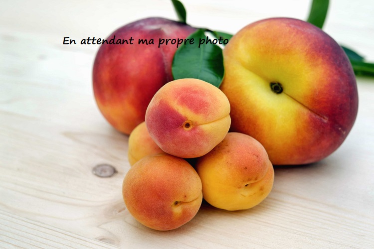 Assortiment d'Abricots, Pêches et Nectarines