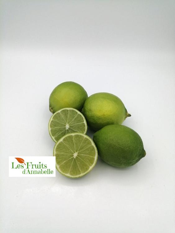 Citron vert (lime) d'Espagne (4 pièces)