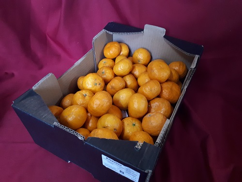 Mandarine Nadorcot d'Espagne - Colis Entier