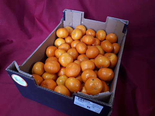 Mandarine Orri d'Espagne - Colis Entier