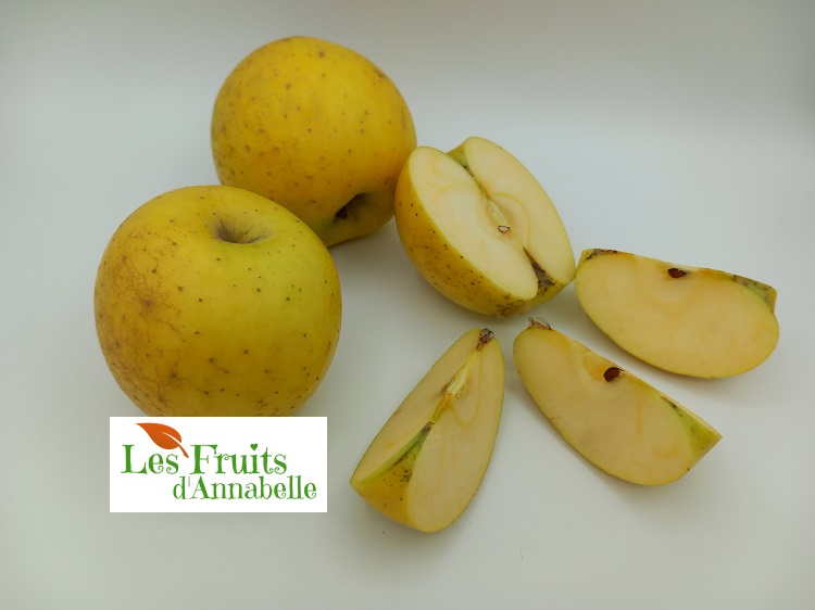 Pomme Delis d'or du Roussillon (3 pièces)