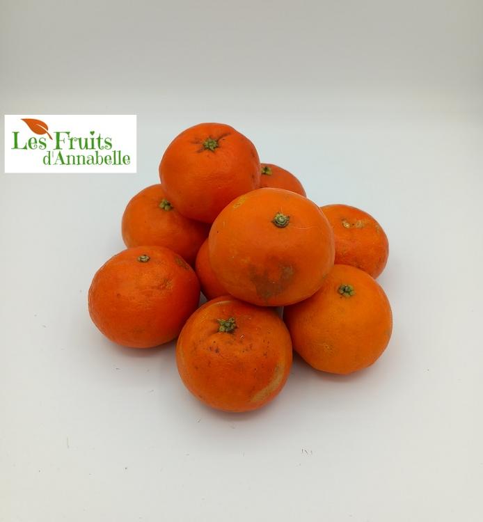 Mandarine Yosémite d'Espagne (4 pièces)