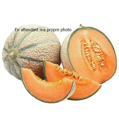 Melon Charentais du Roussillon (environ 1 kg)