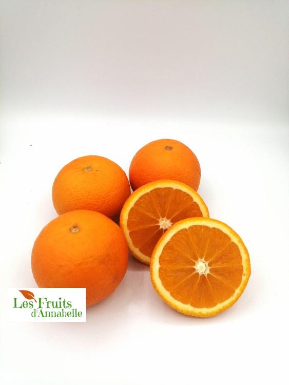Orange à jus, variété Salustiana d'Espagne (4 pièces)