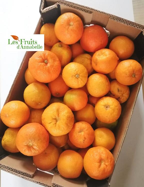 PROMO Oranges amères d'Espagne - Colis entier