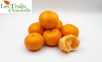 Mandarine Orri d'Espagne (5 pièces)