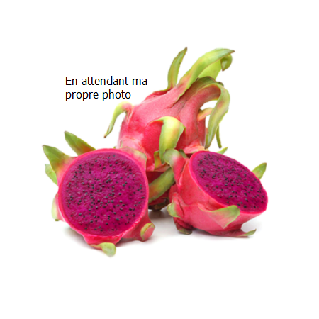 Fruits du Dragon rouge/Pitaya (1 pièce) - Espagne