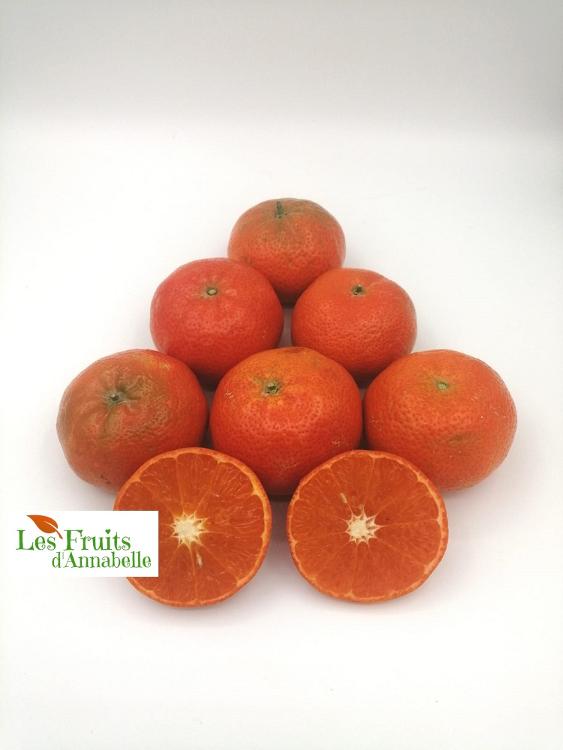 Mandarine Safor d'Espagne (6 pièces)