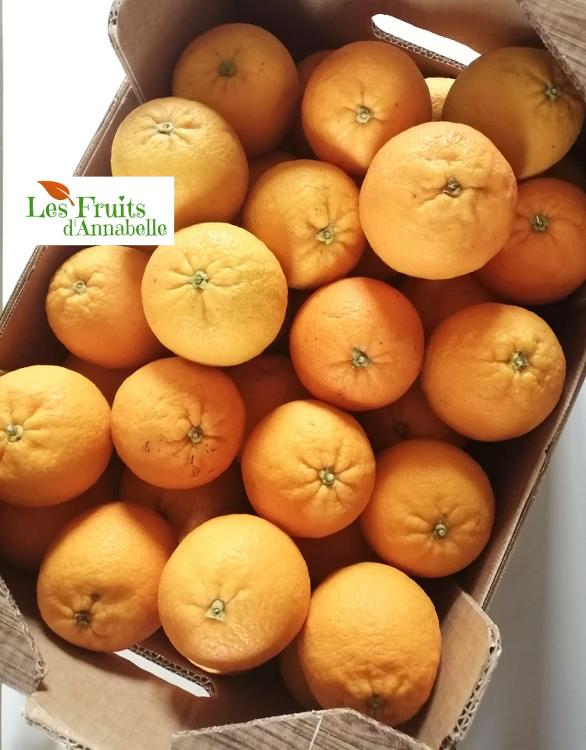 Orange à jus, variété Salustiana d'Espagne - colis entier