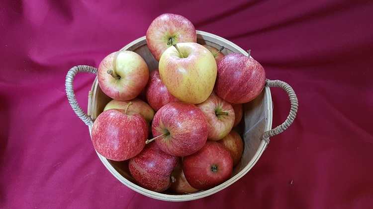 Pommes Gala du Sud-ouest (3 pièces)