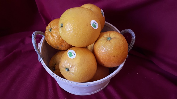 Orange de Table, variété Valencialate d'Espagne (3-4 pièces au kilo)
