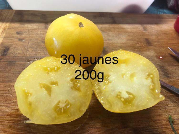 Tomate jaune moyenne