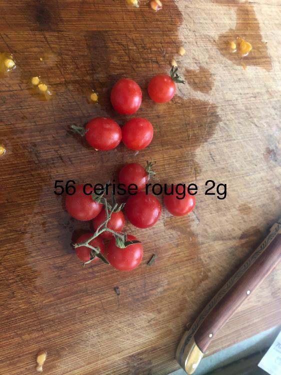 Tomate Cerise rouge Plant