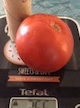 Tomate Landaise