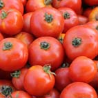 Tomate classique