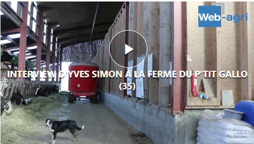 Interview Yves Simon
