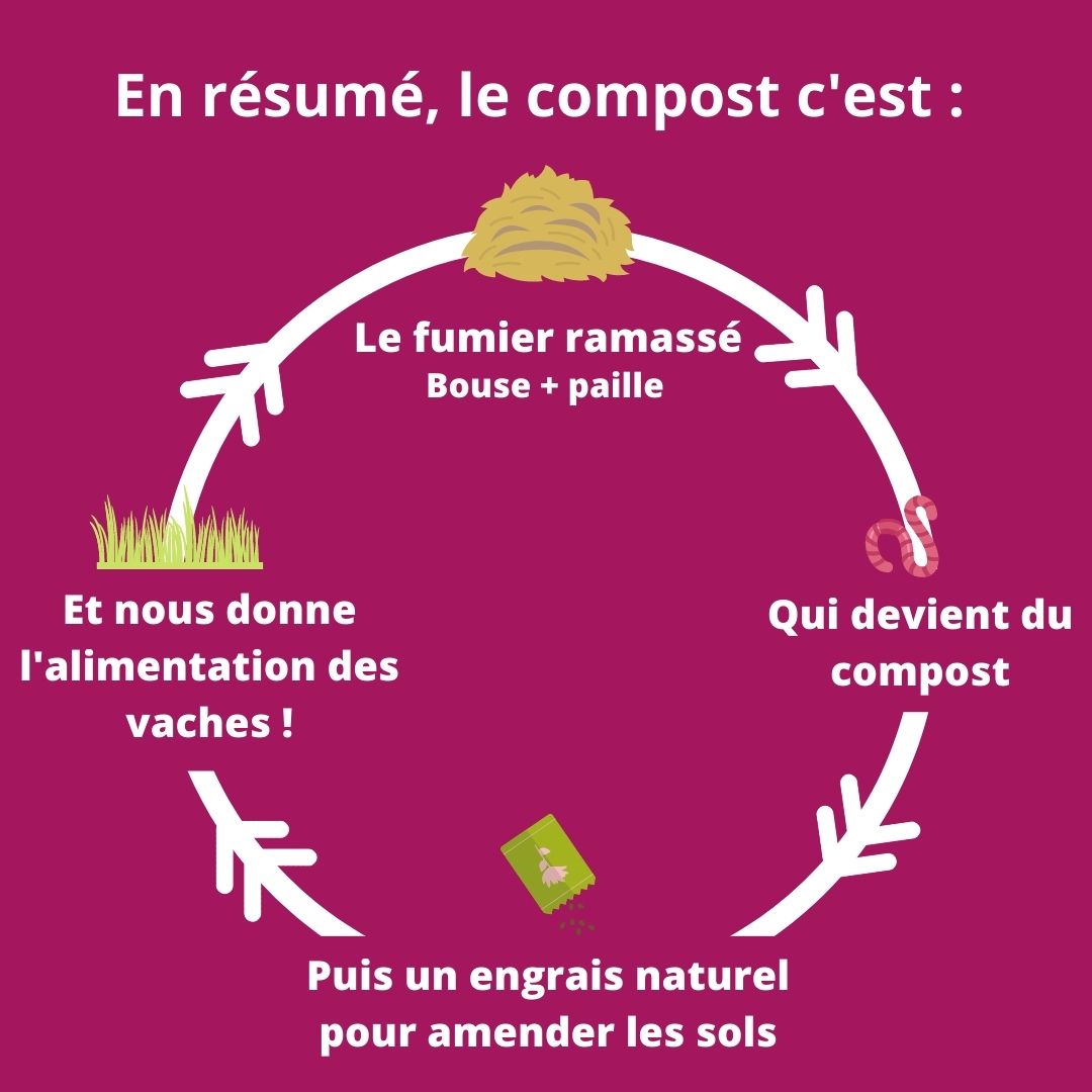 le cercle vertueux du compost